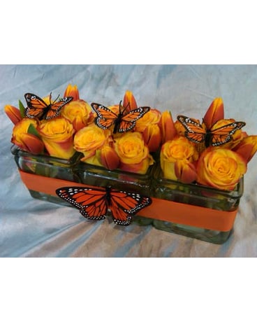 BUTTERFLY