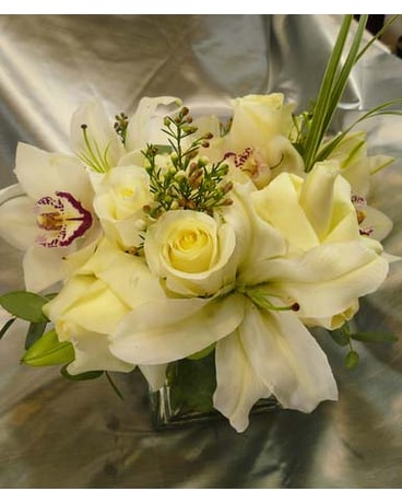Classic White
