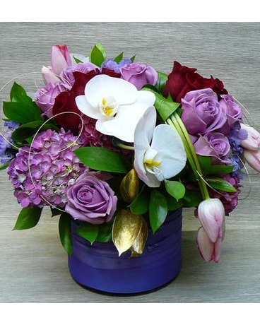 Dramatic Purple
