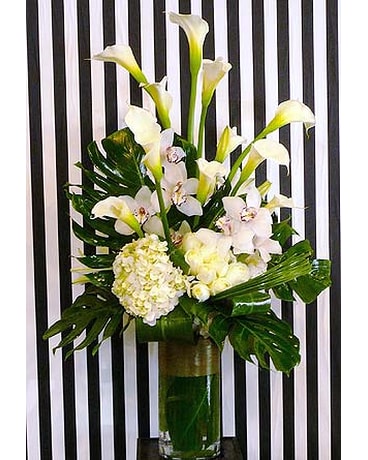 Fashionable White