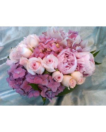 GRACEFUL PINKS