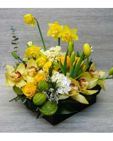 Spring Symphony