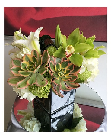 Succulent Beauty