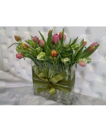 Tulip Field