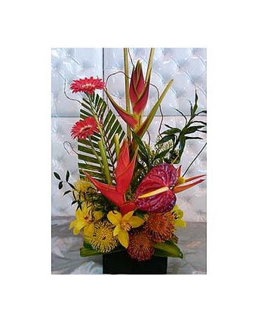TROPICAL SPLENDOR
