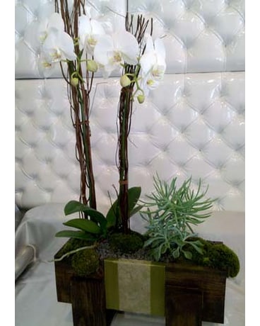 orchid 様 專用 Triple Orchid White Ripple Vase – T&C Floral Company