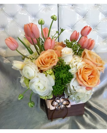Apricot
