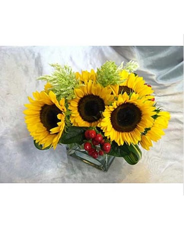Sunflower Pleasures 1