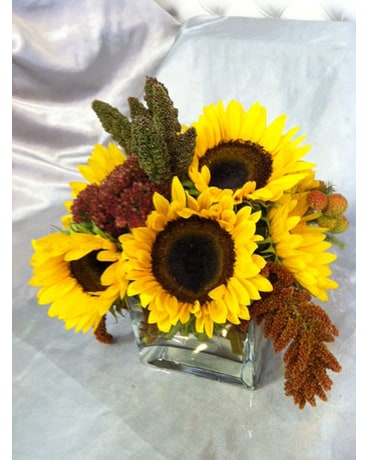 Sunflower Pleasures 2