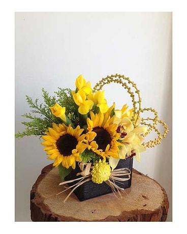 Sunflower Pleasures 3