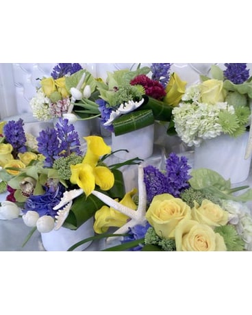 Weddings & Events