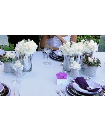 Weddings & Events