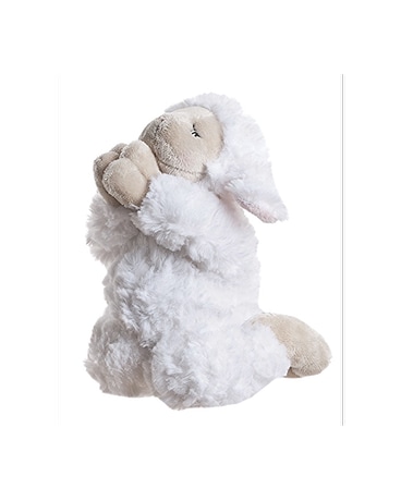 Praying Lamb