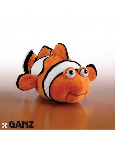 Clown Fish