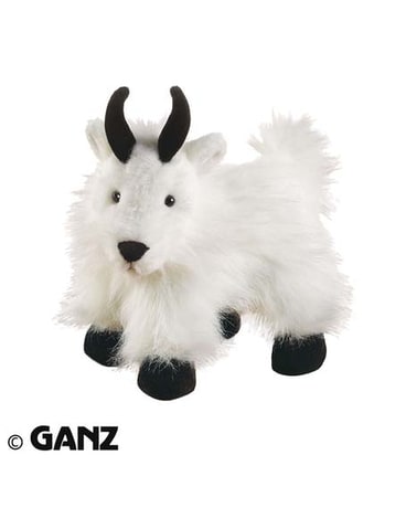 Mountain Goat