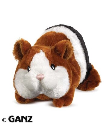 Guinea Pig