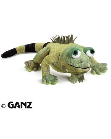 Iguana