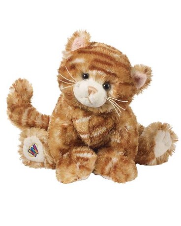 Ginger Cat