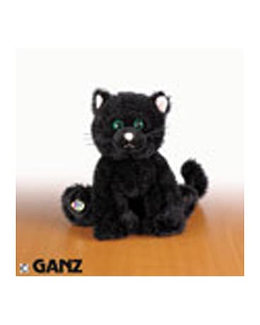 Black Cat