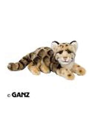 Endangered Clouded Leopard
