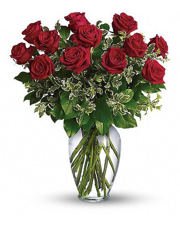 Always on My Mind - Long Stemmed Red Roses