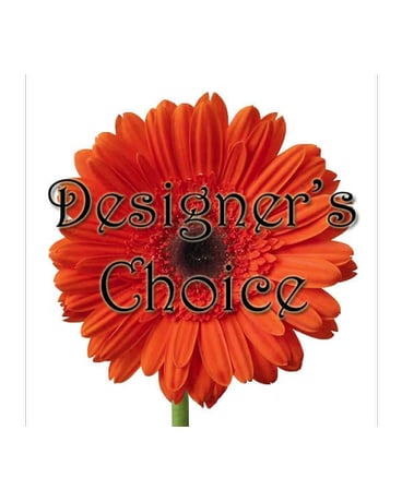Designer's Choice Arrangement