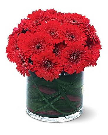 Wedding Centerpieces