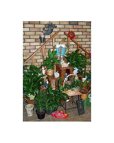 Large selection of indoor and outdoor plants in our Atrium.
