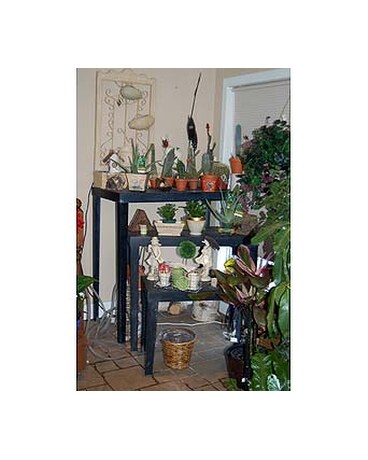 Garden accessories, fountains and succulents