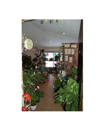 Entrance to our Atrium