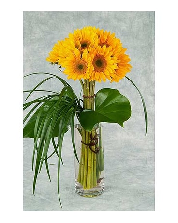 Sunflower Arrangement