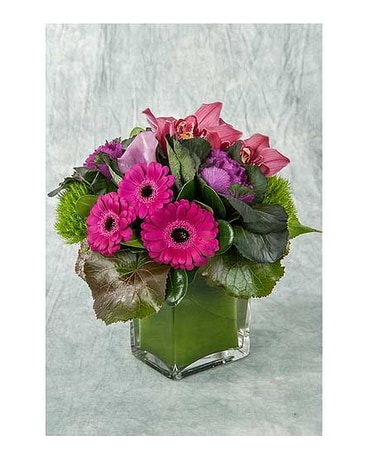 Purple, Fuchsia and Green Arrangement