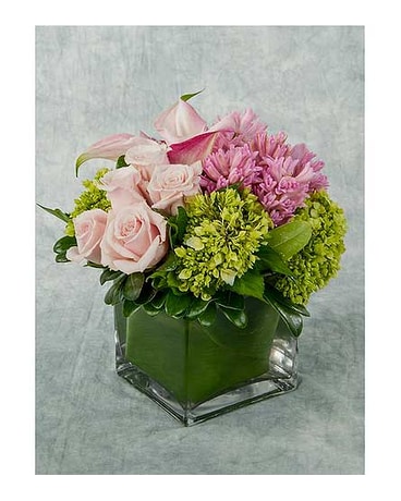 Soft Palette Arrangement
