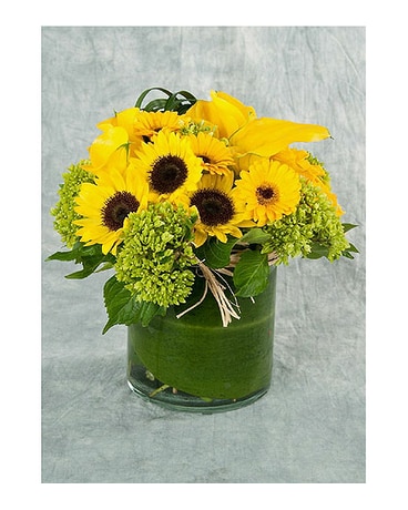 Yellow And Green