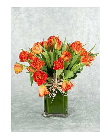 Orange Tulips in a Vase