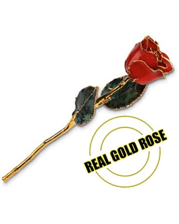 Real Gold Rose