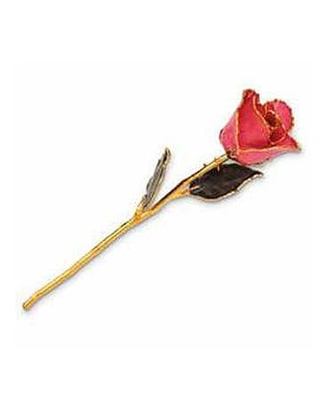 Real Rose Dipped in 24KT Gold three colors 