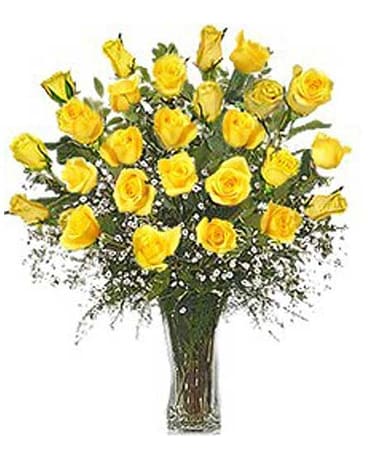 Yellow Roses  24 roses vased