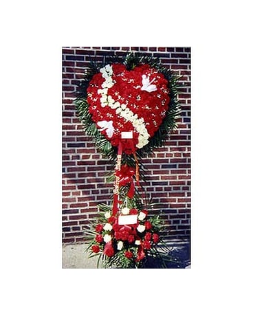 Red Heart Carnation with White Rose Crack