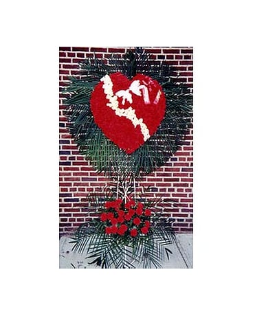 Red Carnation Heart with White Rose Crack