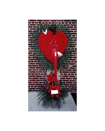 Red Carnation Heart