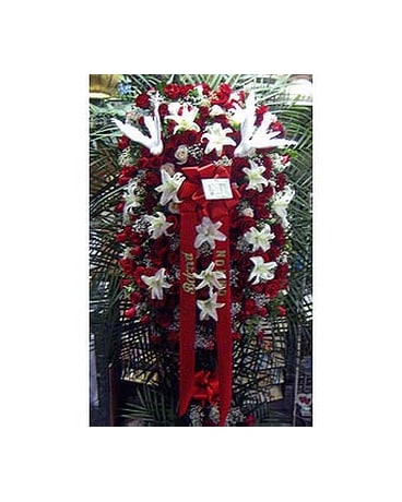 Spray of Red Roses & White Orchids