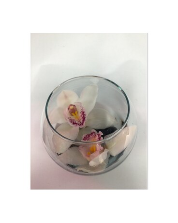 Mini Orchid Bowl