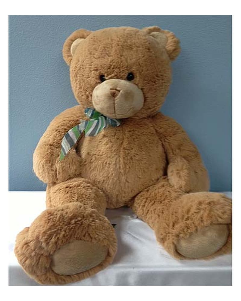 Large teddy bear hot sale delivery