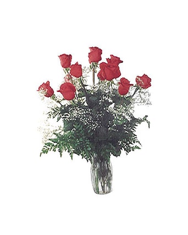 1 Dozen Wonderful Red Roses (101-N)