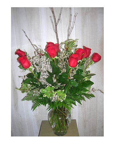 1 Dozen Premier Red Roses (102N)