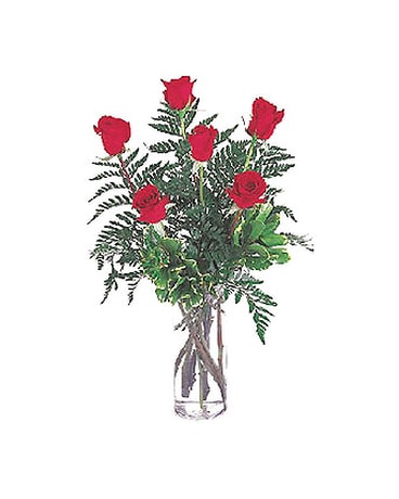 Half Dozen Roses by Petals & Stems (108)