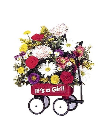 It's a Girl Wagon (301)