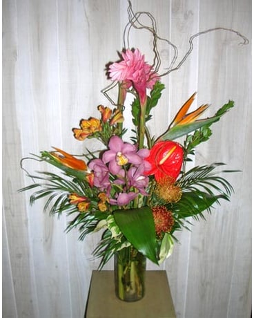 Let's go Tropical (927)