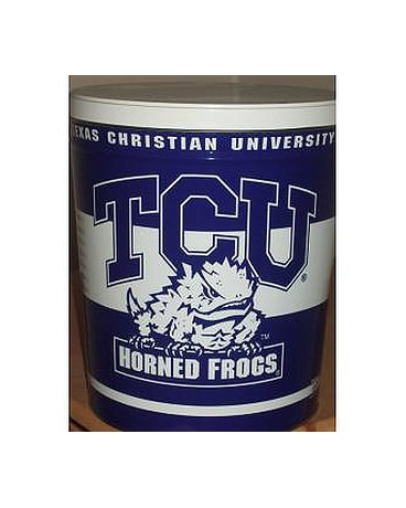 Texas Christian University (DS-005)